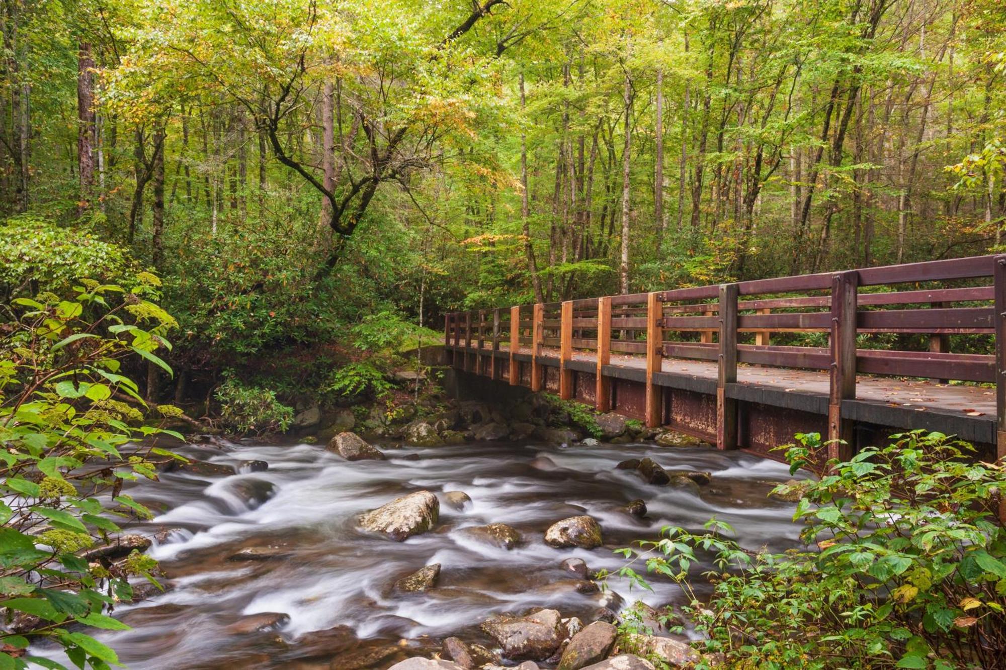 A Higher Calling, 1089 Of Free Area Attraction Tickets For Each Paid Day, Dollywood And More! Pigeon Forge Bagian luar foto